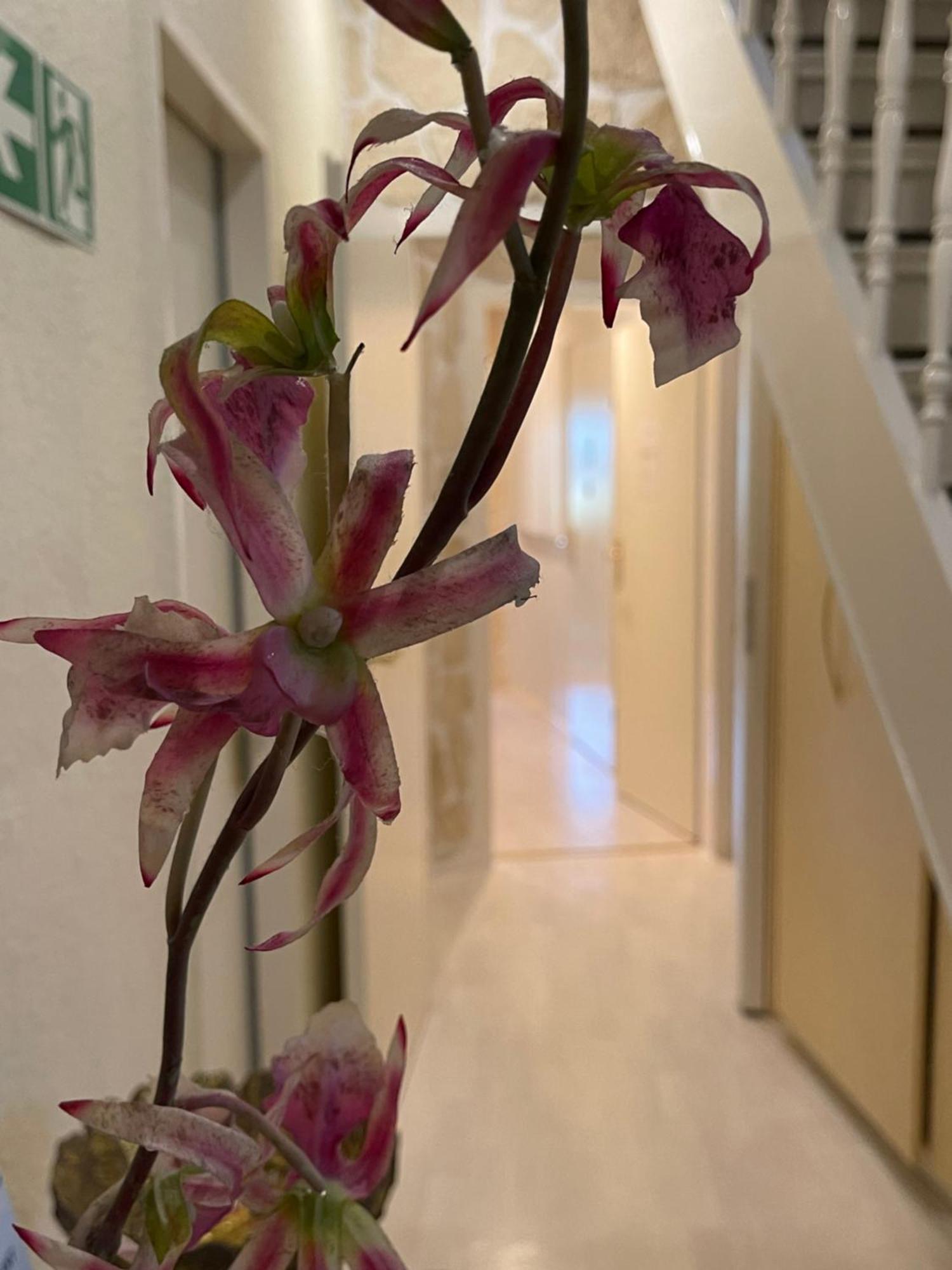 Hotel Villa Vital Munster Bagian luar foto